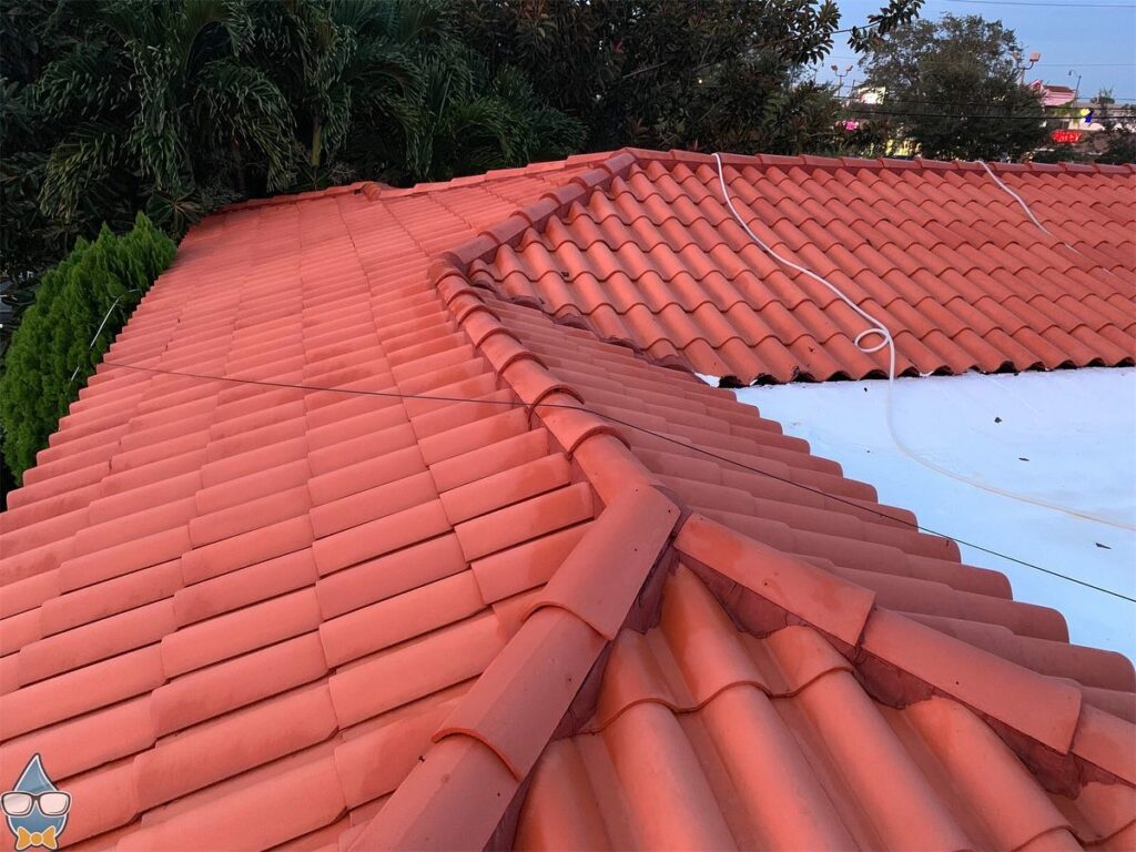 Clean Roof