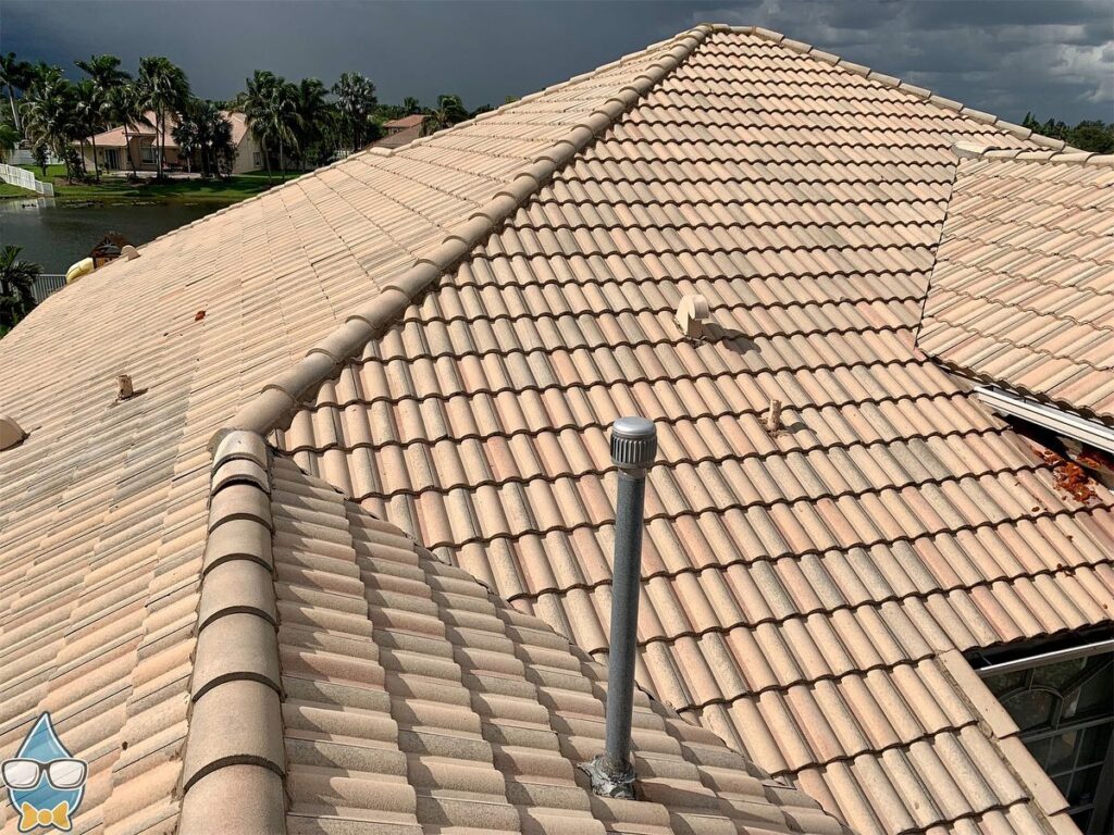 Clean Roof Service