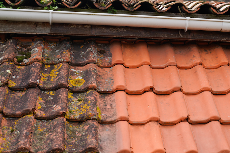 Roof Washing Clean